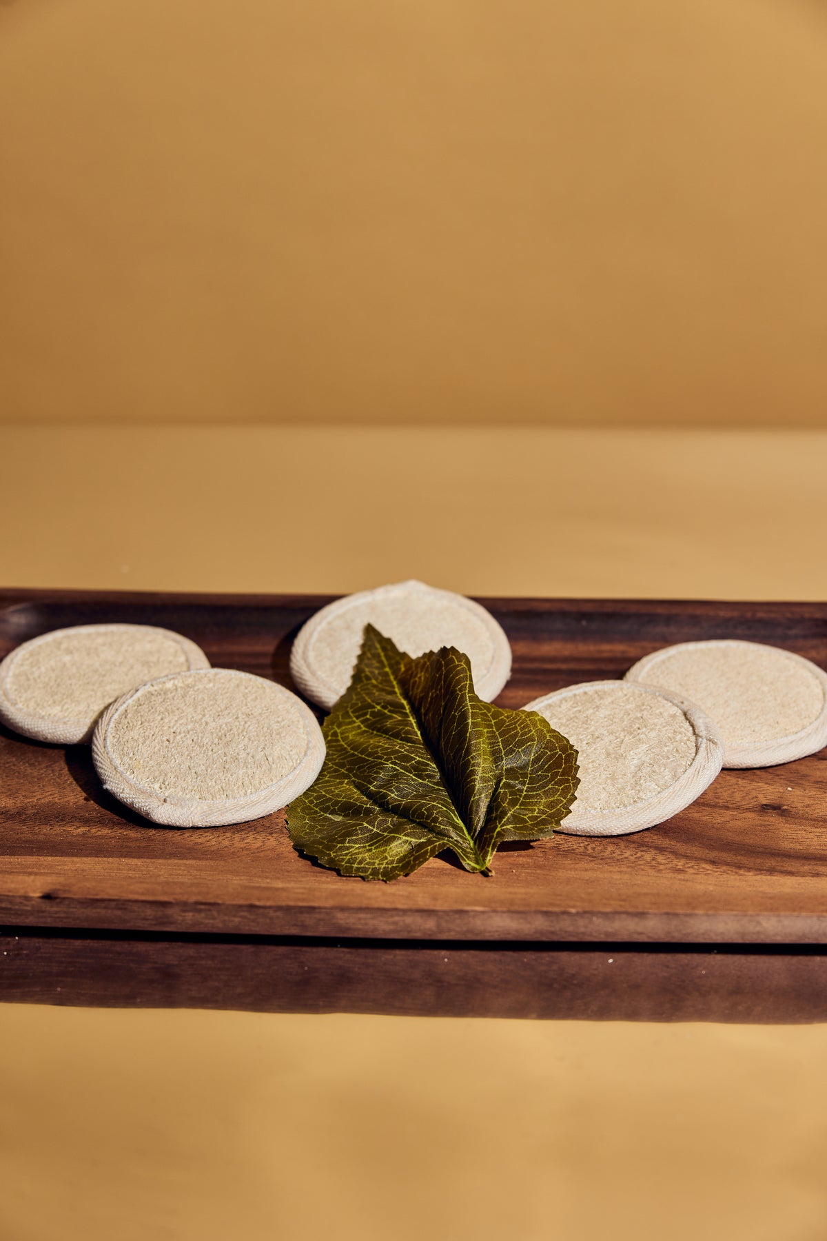 honey exfoliating sponge